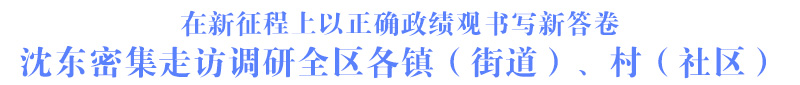 在新征程上以正确政绩观书写新答卷 沈东密集走访调研全区各镇（街道）、村（社区）