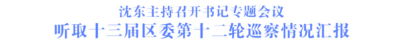 沈东主持召开书记专题会议 听取十三届区委第十二轮巡察情况汇报
