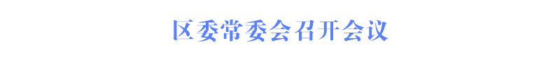 区委常委会召开会议